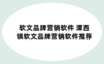 软文品牌营销软件 潭西镇软文品牌营销软件推荐